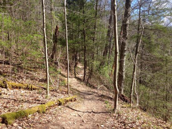 Little Creek Park