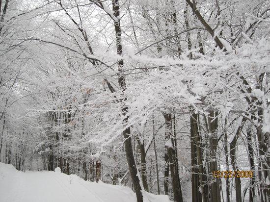 White Grass Touring and Cafe