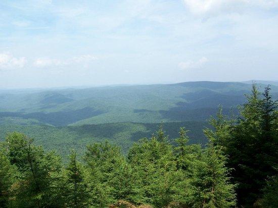 Gaudineer Knob
