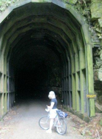 Greenbrier River Trail