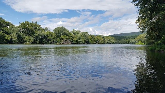 Shannondale Springs Wildlife Management Area