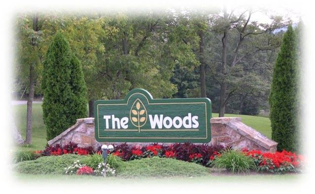 The Woods
